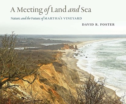 A Meeting of Land and Sea, David R. Foster - Gebonden - 9780300214178