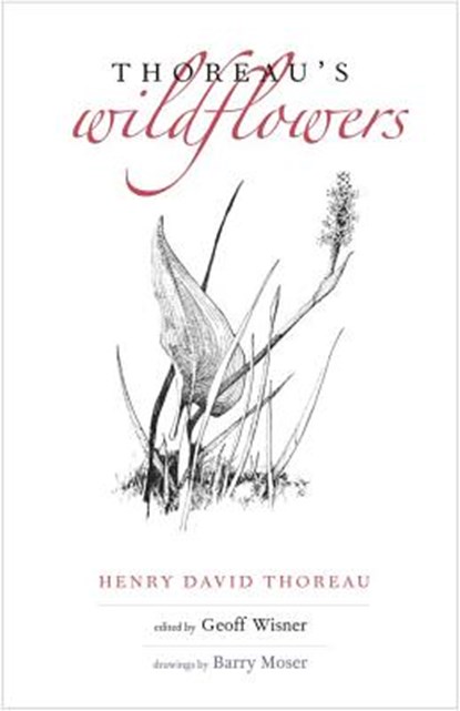 Thoreau's Wildflowers, Henry D. Thoreau - Gebonden - 9780300214772
