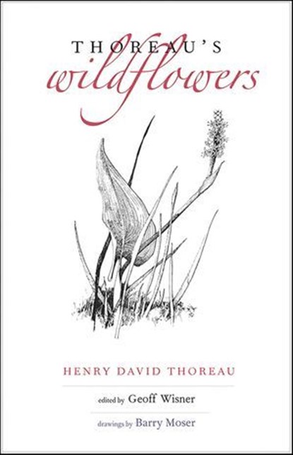 Thoreau's Wildflowers, Henry D. Thoreau - Ebook - 9780300221015