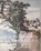 Polidoro da Caravaggio, David Franklin - Gebonden - 9780300223897