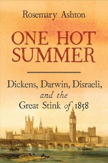 One Hot Summer, Rosemary Ashton - Gebonden - 9780300227260