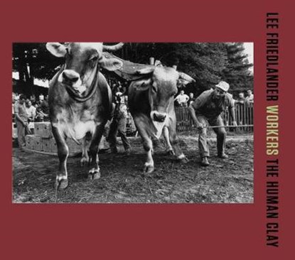 Workers - The Human Clay, FRIEDLANDER,  Lee - Gebonden - 9780300229233