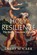 Holy Resilience, David M. Carr - Paperback - 9780300240009
