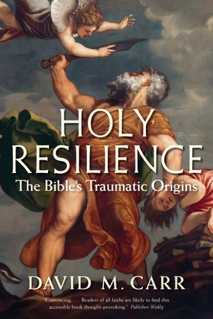 Holy Resilience, David M. Carr - Paperback - 9780300240009