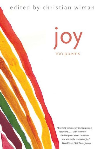 Joy, Christian Wiman - Paperback - 9780300248630