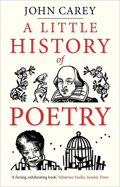 A Little History of Poetry, John Carey - Paperback - 9780300255034