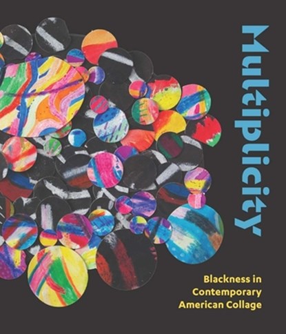 Multiplicity, Kathryn E. Delmez - Gebonden - 9780300272963