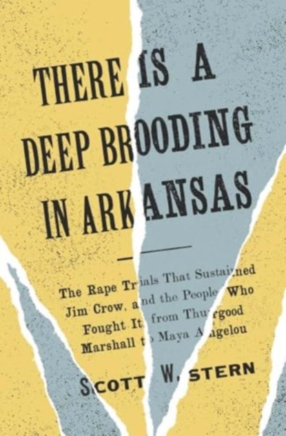 There Is a Deep Brooding in Arkansas, Scott W. Stern - Gebonden - 9780300273571