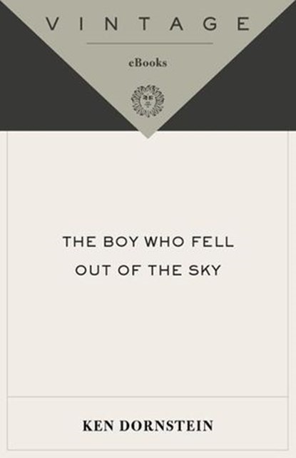 The Boy Who Fell Out of the Sky, Ken Dornstein - Ebook - 9780307386915