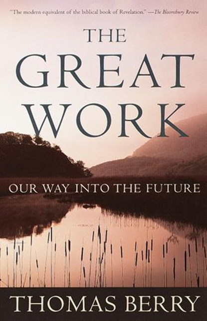 The Great Work, Thomas Berry - Ebook - 9780307434197