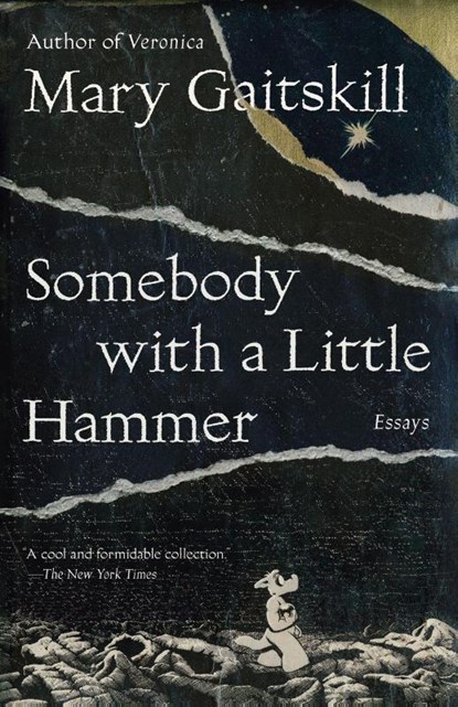 Somebody with a Little Hammer, Mary Gaitskill - Paperback - 9780307472335