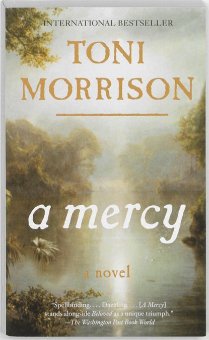 A Mercy, Toni Morrison - Paperback - 9780307472342