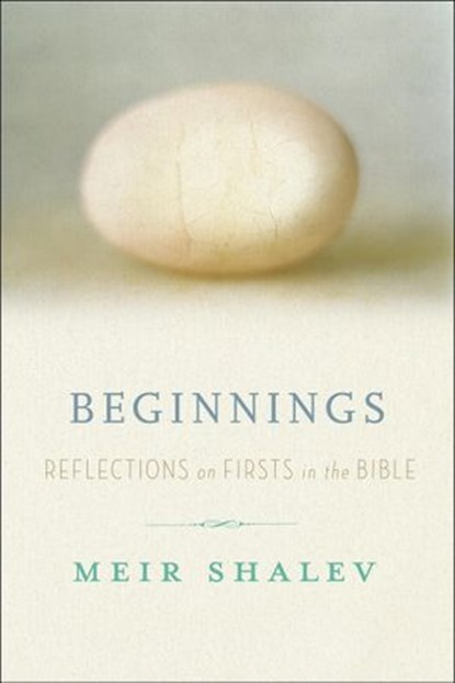 Beginnings, Meir Shalev - Ebook - 9780307717191
