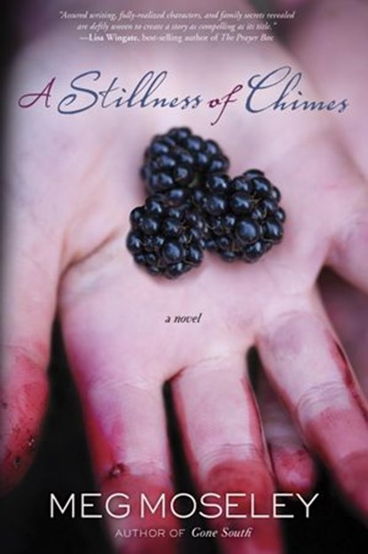 A Stillness of Chimes, Meg Moseley - Ebook - 9780307730794