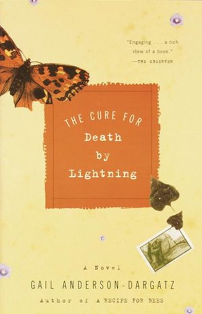 The Cure for Death by Lightning, Gail Anderson-Dargatz - Ebook - 9780307816214