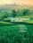 Verifying Greenhouse Gas Emissions, National Research Council ; Division on Earth and Life Studies ; Board on Atmospheric Sciences and Climate ; Committee on Methods for Estimating Greenhouse Gas Emissions - Paperback - 9780309152112