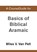 A CourseGuide for Basics of Biblical Aramaic, Zondervan - Paperback - 9780310110149