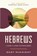 Hebrews, Scot McKnight - Paperback - 9780310129530