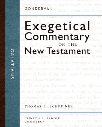 Galatians, Thomas R. Schreiner - Gebonden - 9780310243724