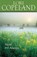 Now and Always, Lori Copeland - Paperback - 9780310263517