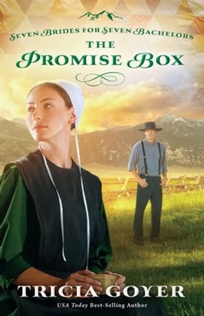 The Promise Box, Tricia Goyer - Ebook - 9780310335146