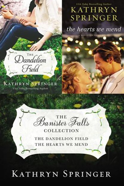 The Banister Falls Collection, Kathryn Springer - Ebook - 9780310347910