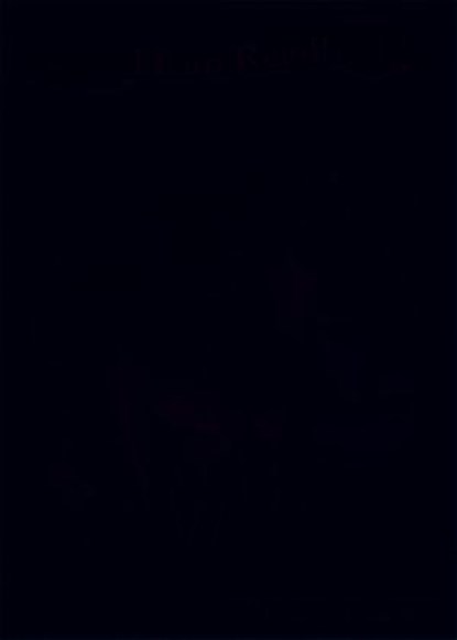 Bob's Great Escape, Dandi Daley Mackall - Ebook - 9780310424437