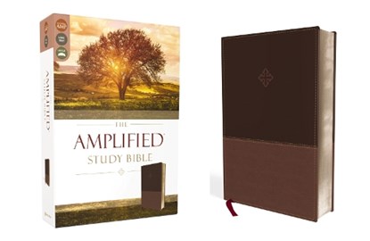 The Amplified Study Bible, Leathersoft, Brown, Zondervan - Gebonden - 9780310440802