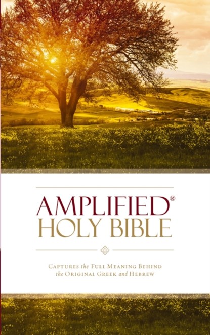 Amplified Holy Bible, Paperback, Zondervan Publishing - Paperback - 9780310443902