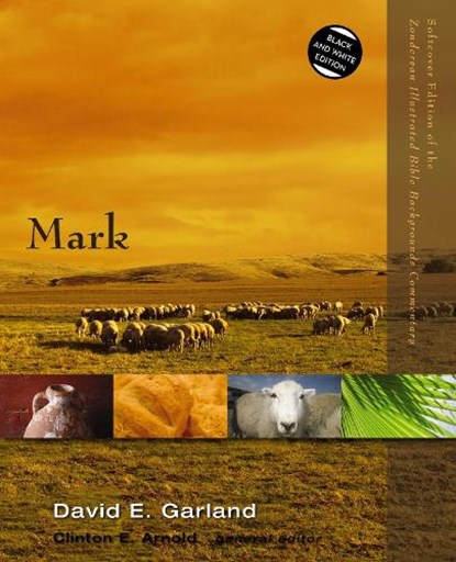 Mark, David E. Garland - Paperback - 9780310522911
