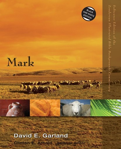 Mark, David E. Garland - Paperback - 9780310522911
