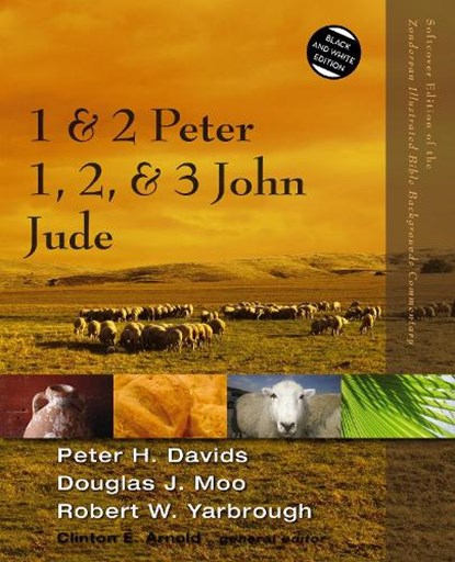 1 and 2 Peter, Jude, 1, 2, and 3 John, Peter H. Davids ; Douglas J. Moo ; Robert Yarbrough - Paperback - 9780310523086