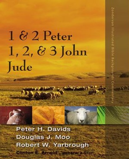 1 and 2 Peter, Jude, 1, 2, and 3 John, Peter H. Davids ; Douglas J. Moo ; Robert Yarbrough ; Clinton E. Arnold - Ebook - 9780310530251
