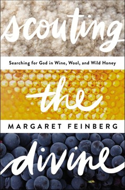 Scouting the Divine, Margaret Feinberg - Ebook - 9780310564027
