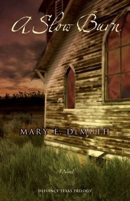 A Slow Burn, Mary E. DeMuth - Ebook - 9780310564386