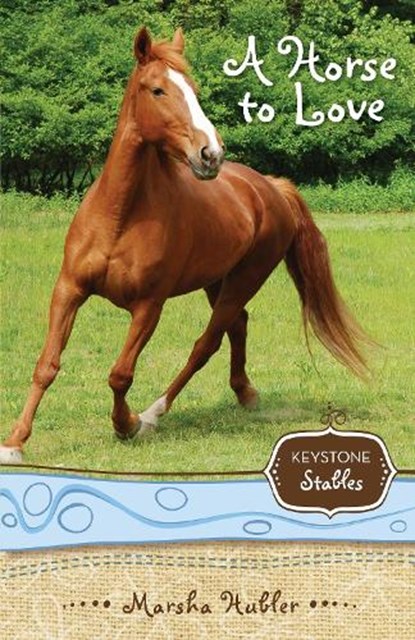 A Horse to Love, Marsha Hubler - Paperback - 9780310717928