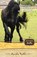 Summer Camp Adventure, Marsha Hubler - Paperback - 9780310717959