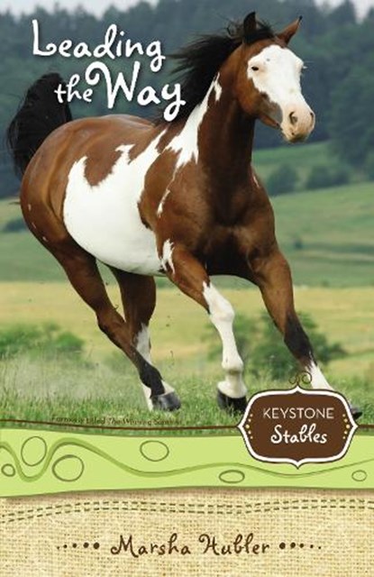 Leading the Way, Marsha Hubler - Paperback - 9780310717966