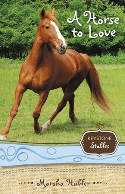 A Horse to Love, Marsha Hubler - Ebook - 9780310862499