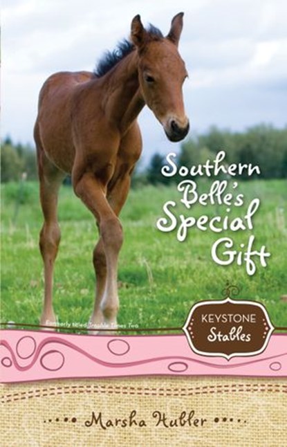 Southern Belle's Special Gift, Marsha Hubler - Ebook - 9780310874041