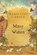 A Many Waters, Madeleine L'Engle - Paperback - 9780312368579
