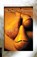 Debt to Pleasure, John Lanchester - Paperback - 9780312420369