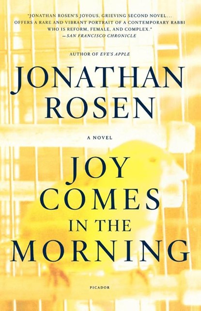 Joy Comes in the Morning, Jonathan Rosen - Paperback - 9780312424275