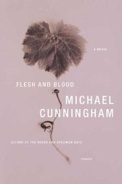 Flesh and Blood, Michael Cunningham - Paperback - 9780312426682