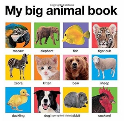 My Big Animal Book, Roger Priddy - Gebonden - 9780312511074