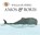 Steig, W: Amos & Boris, William Steig - Paperback - 9780312535667
