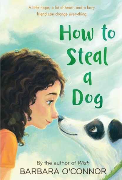 How to Steal a Dog, Barbara O'Connor - Paperback - 9780312561123