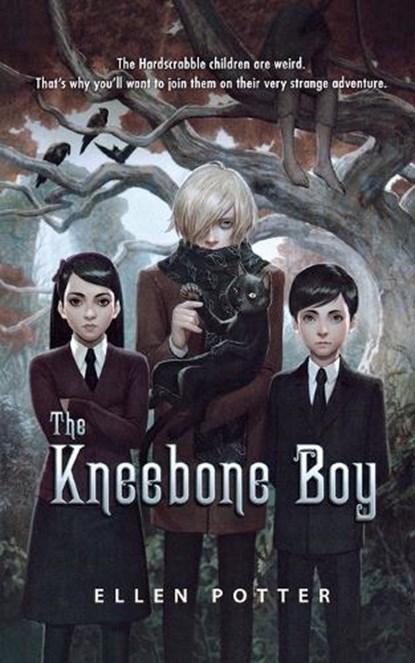 The Kneebone Boy, Ellen Potter - Paperback - 9780312674328