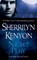 Night Play, Sherrilyn Kenyon - Paperback - 9780312992422