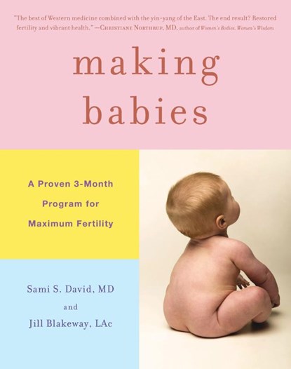Blakeway, J: Making Babies, Jill Blakeway ; Sami S David - Gebonden - 9780316024501